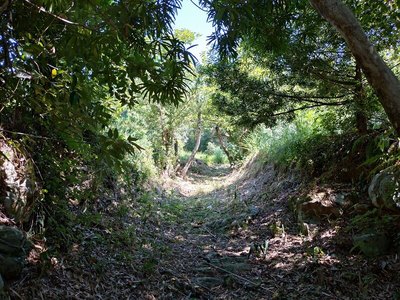 居館跡南側の虎口