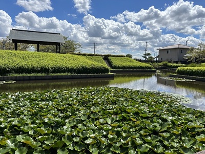 水堀