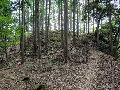 三の丸跡から眺める出丸跡