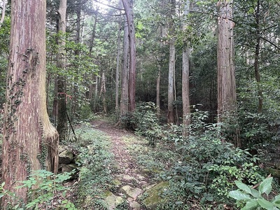 天満宮脇の旧追手道入り口