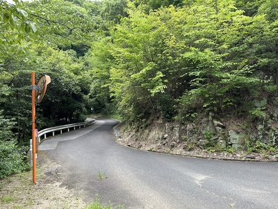 旧追手道途中の林道