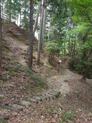 出丸北側の切岸と切り通し