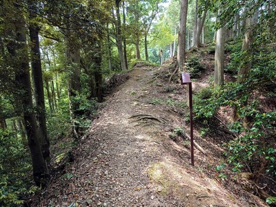 本丸東側の堀切