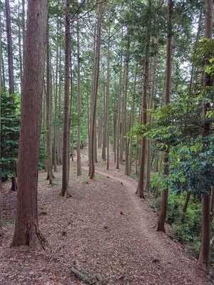 二の丸風景其の壱