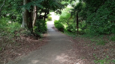 土橋(Ⅰ郭側から)