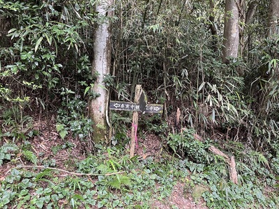 本丸から観音正寺と桑実寺への分岐