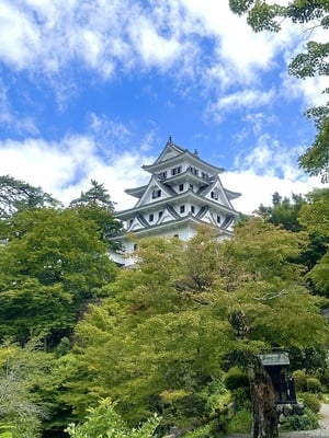 郡上八幡城 天守