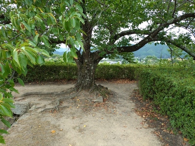 二の丸南西角の櫓跡