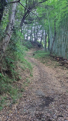 城山虎口への通路