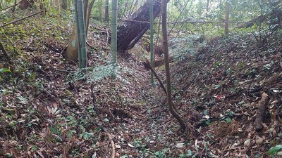 砂古瀬神社周囲の空堀