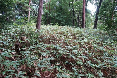 中山城 主郭