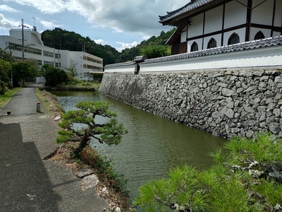 興禅寺の石垣と水堀