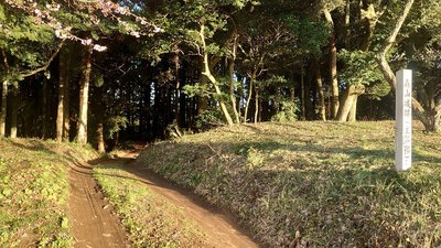 奥仲城虎口の土塁