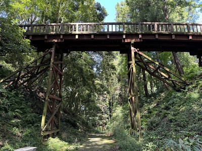 本丸に向かう木橋