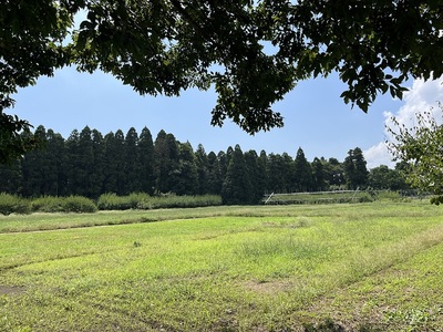 三の郭跡