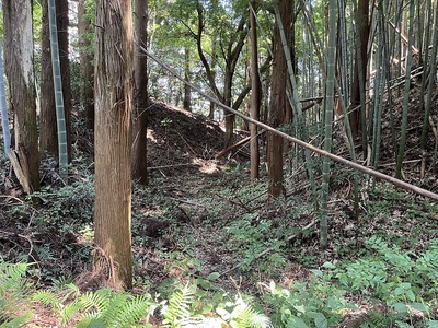 大手口空堀跡