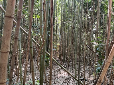 三の郭跡