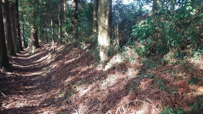 稲積神社参道の土塁