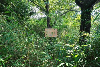 一色城 主郭風景