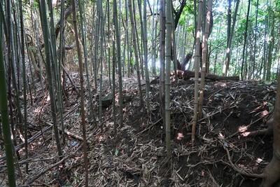 一色城 主郭東の土塁