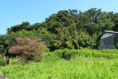 一色城 南から見た城山