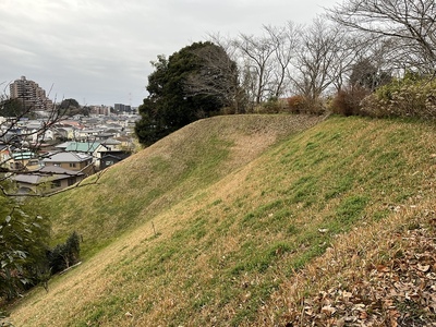 上杉謙信に大打撃を与えた城