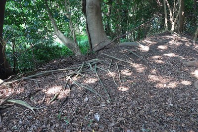 篠島城 微かに残る土塁跡