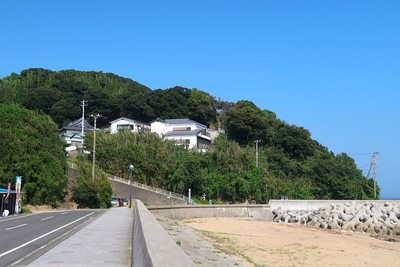 篠島城 城山を南西より