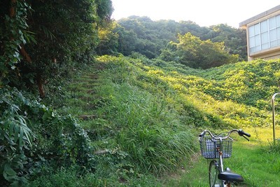 篠島城「清正の枕石」へ通じる道