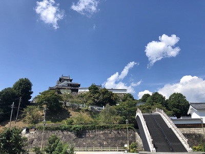 昇龍橋越しの本丸