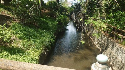 二の丸東側の水堀