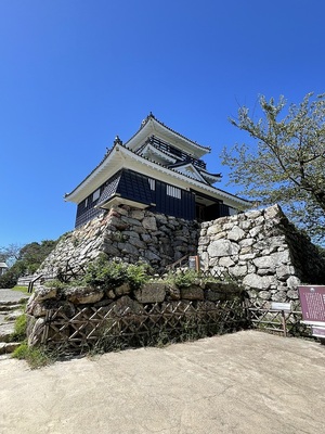 天守と石垣（野面積み）