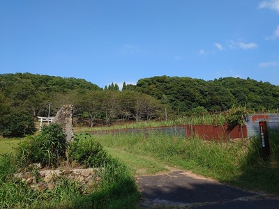 館跡遠景