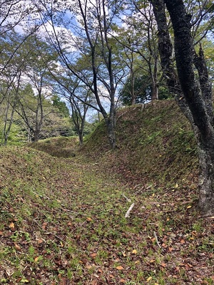 主郭北西下横堀