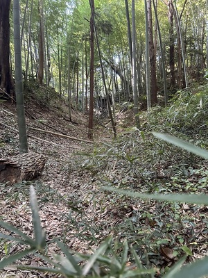 空堀の中から