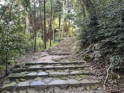 摠見寺への石段