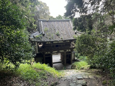 摠見寺三重塔側から見た二王門