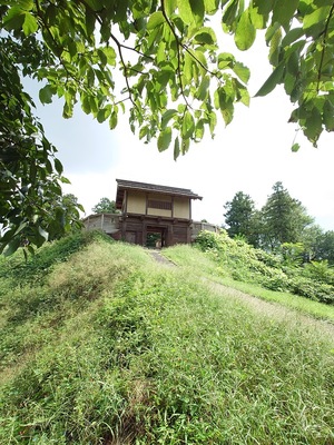 箕輪城　郭馬出西虎口門