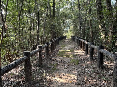 土塁上の散策路