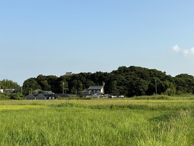 大草城遠景