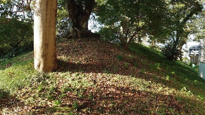 小学校東側の土塁