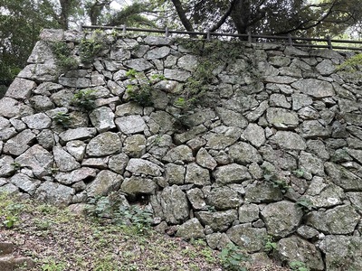 三の丸の石垣