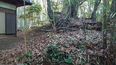 安房神社本殿を囲む土塁