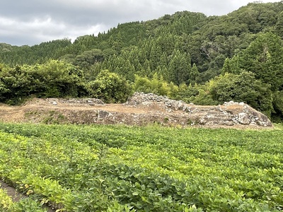 天守台跡