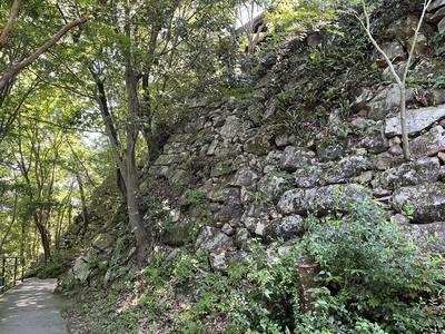 南側から見た本丸西面石垣