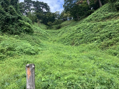 但馬谷の縦堀(下から撮影)