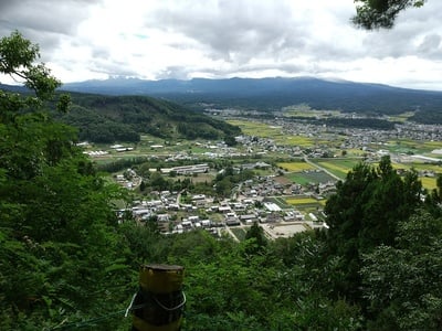 城址から龍岡城を望む