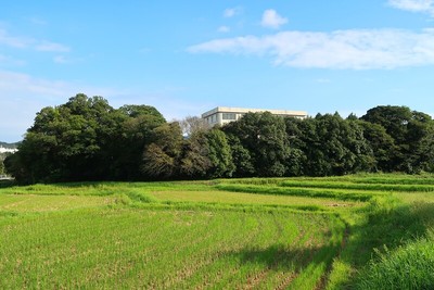 六栗城 北より遠景