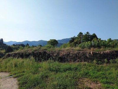 山中御殿内から眺める多聞櫓跡の石垣其の壱