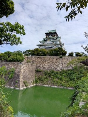 天守（西ノ丸庭園から）